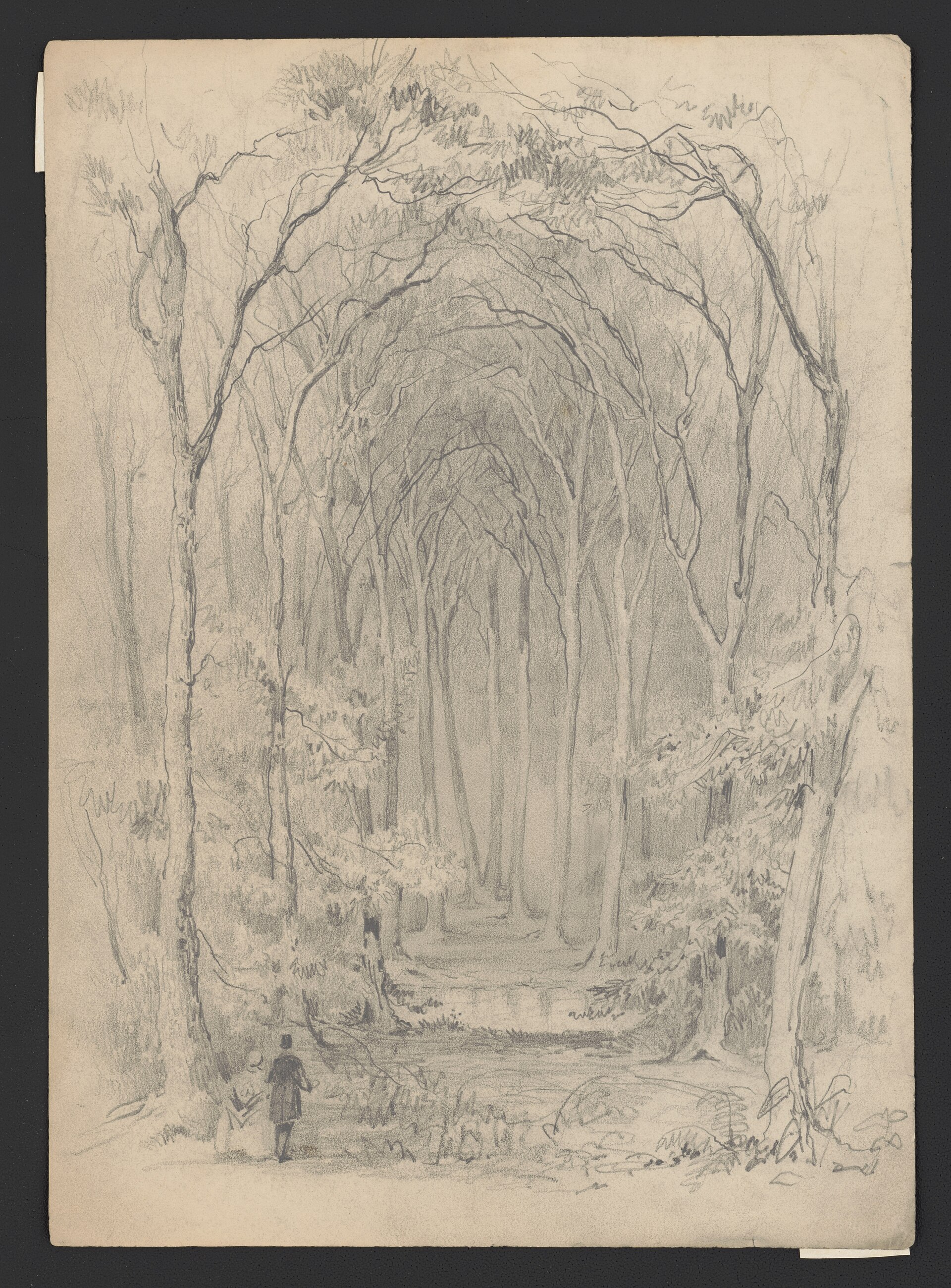 woman walking trail alone autumn