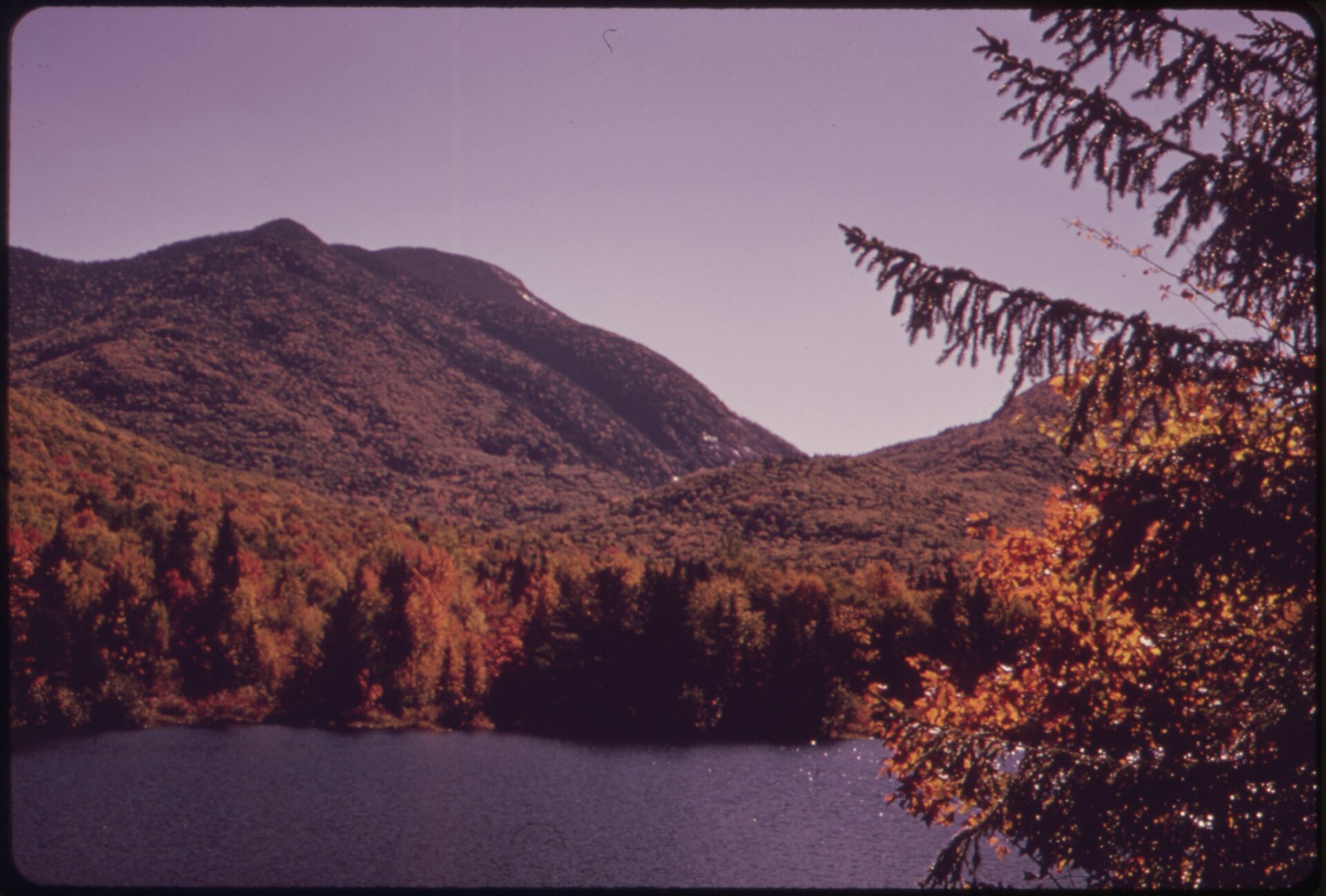 Adirondack forest trail family