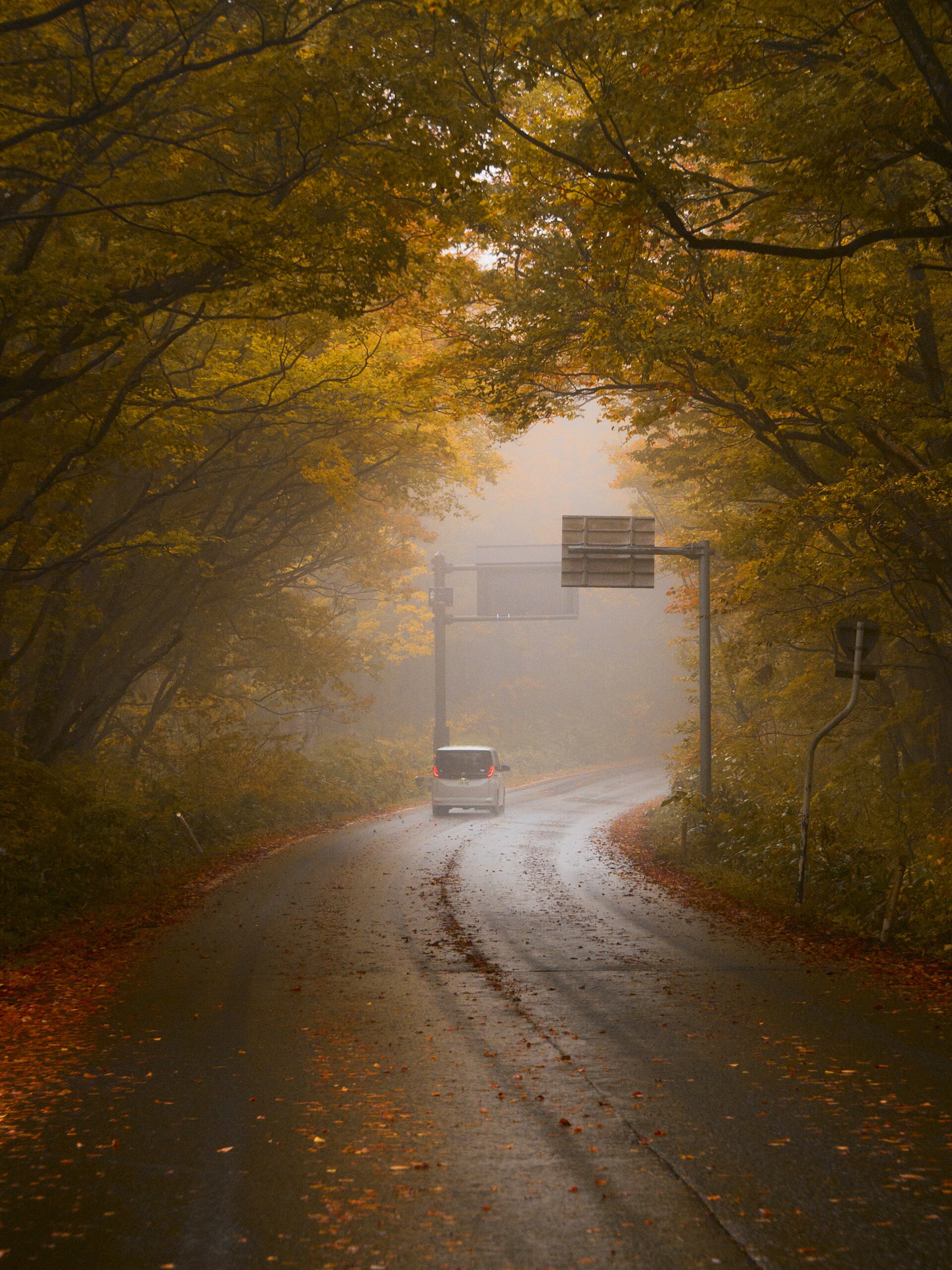 car on mountain road autumn