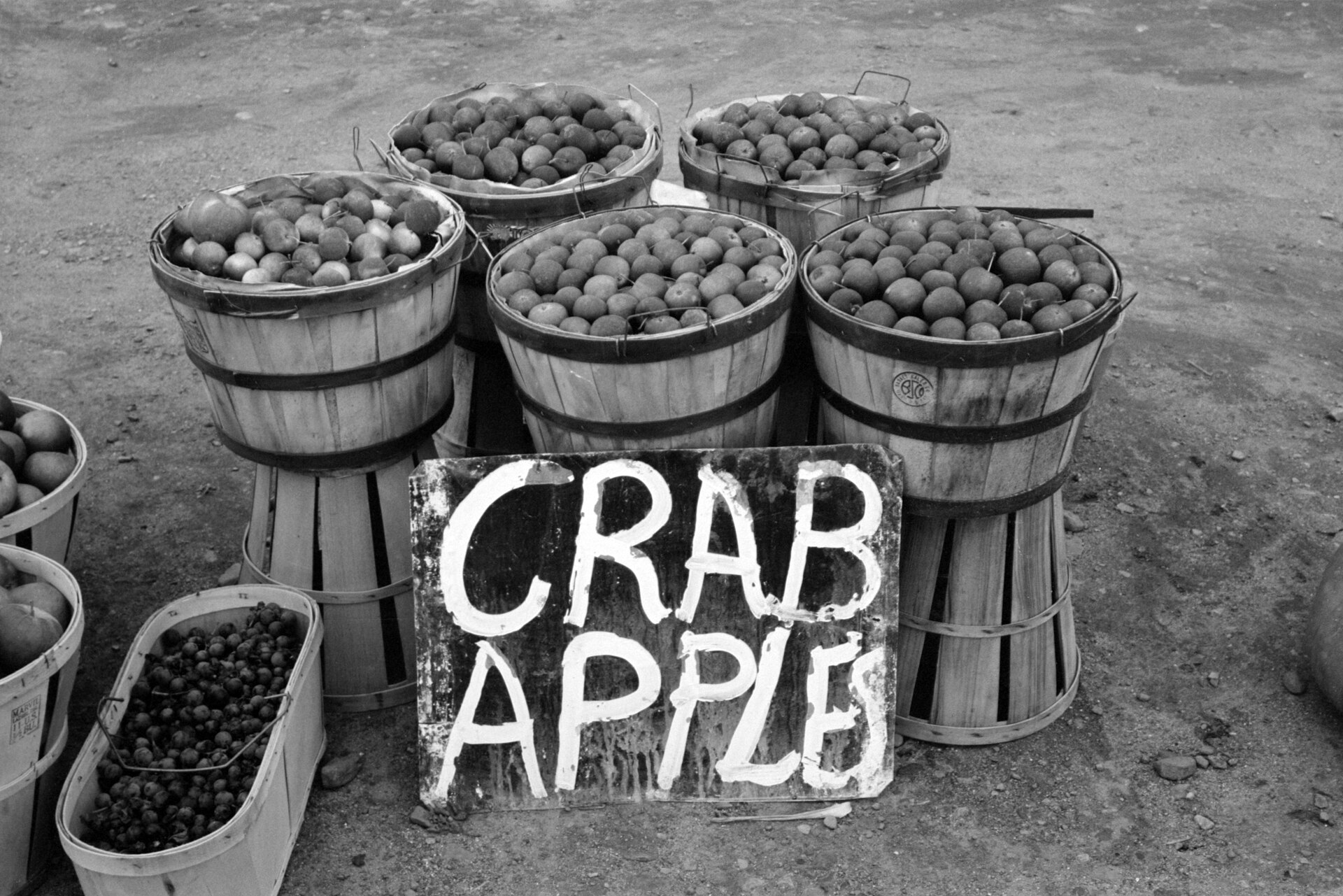 farm stand apples autumn