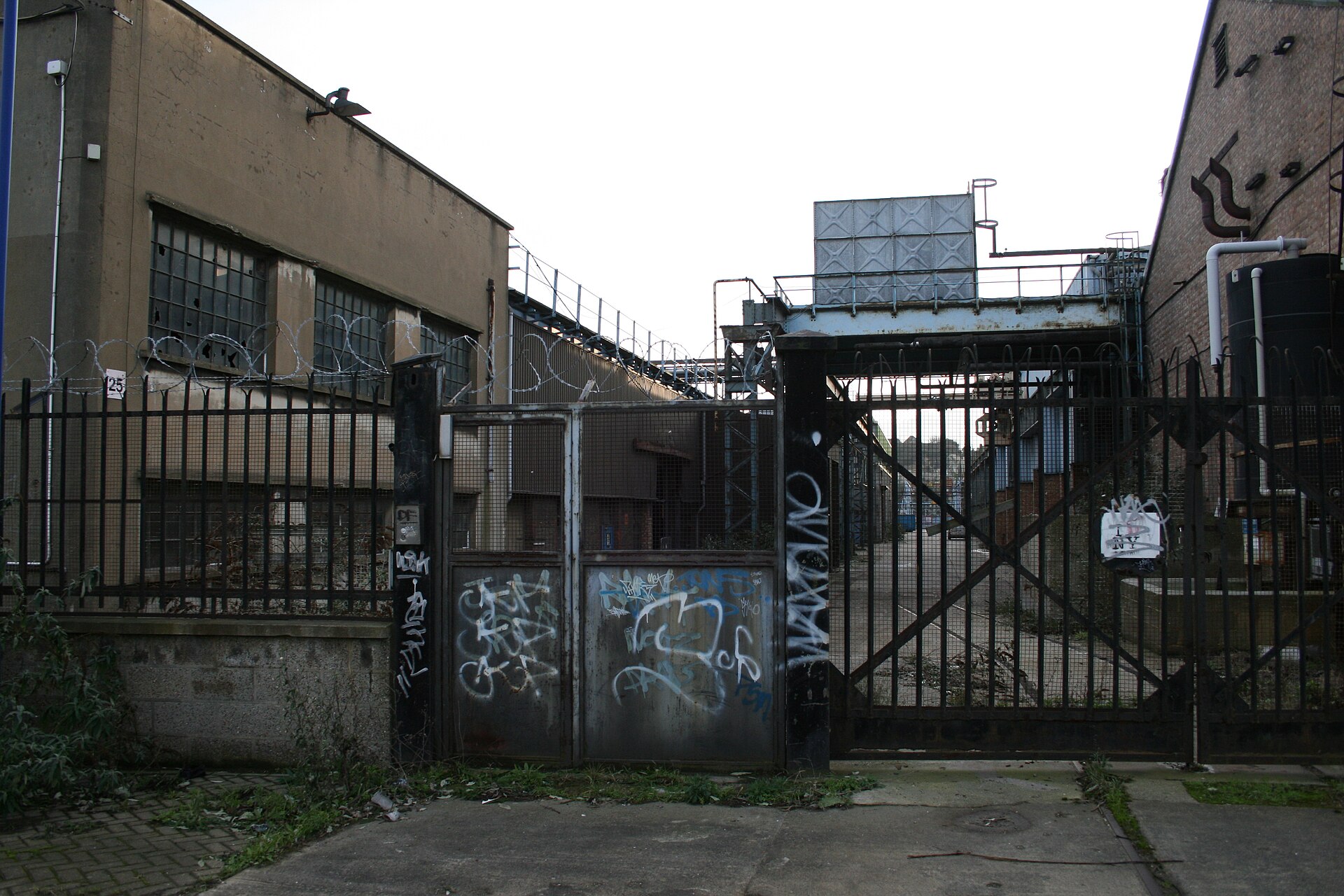 derelict industrial structure forest