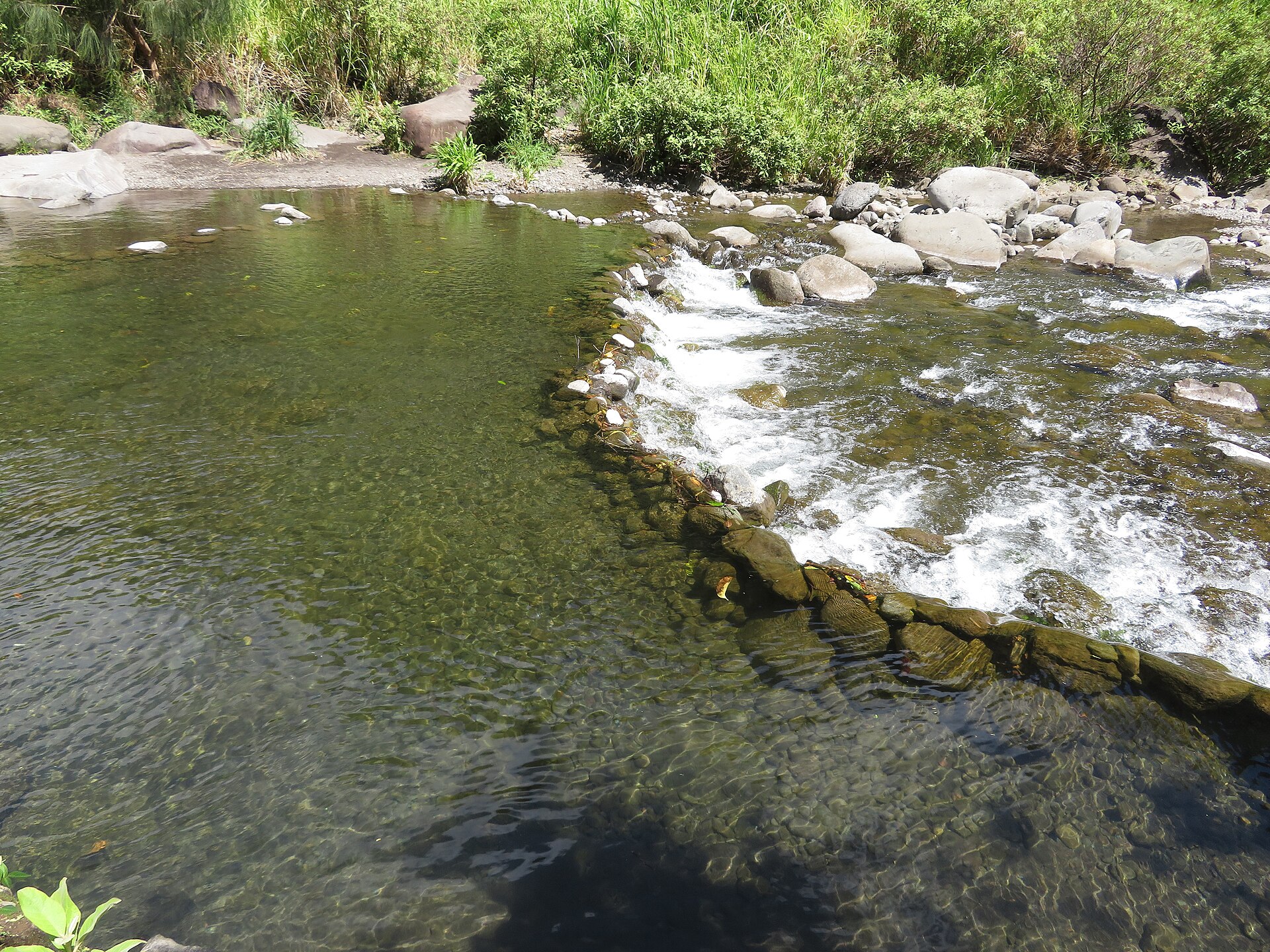 swimming hole rocks forest