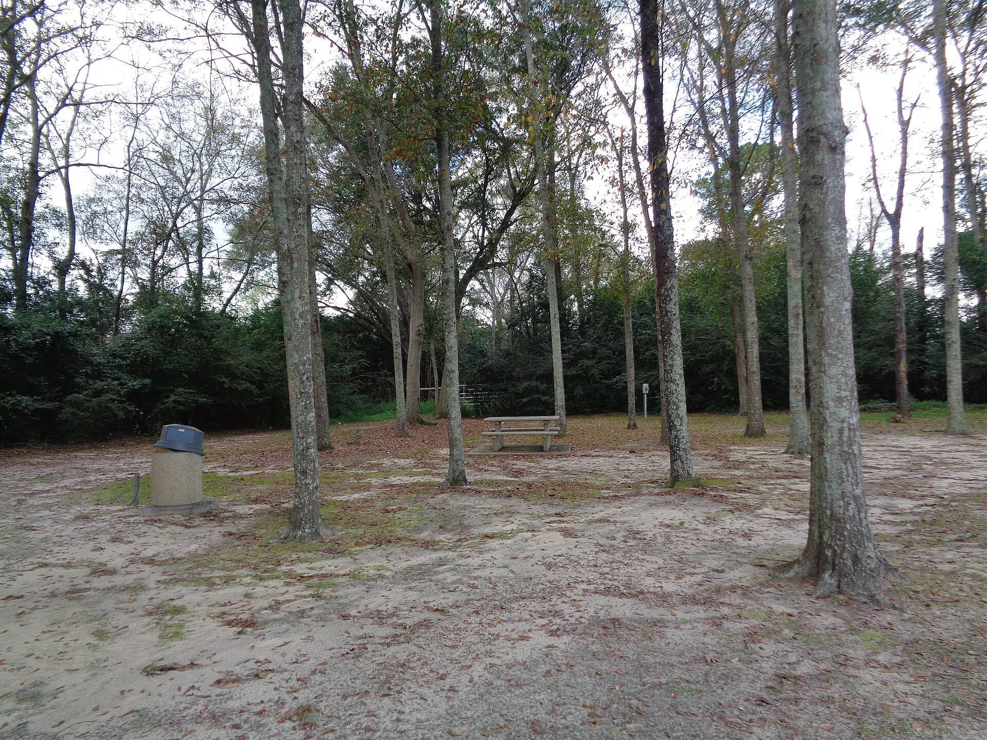 roadside rest area picnic